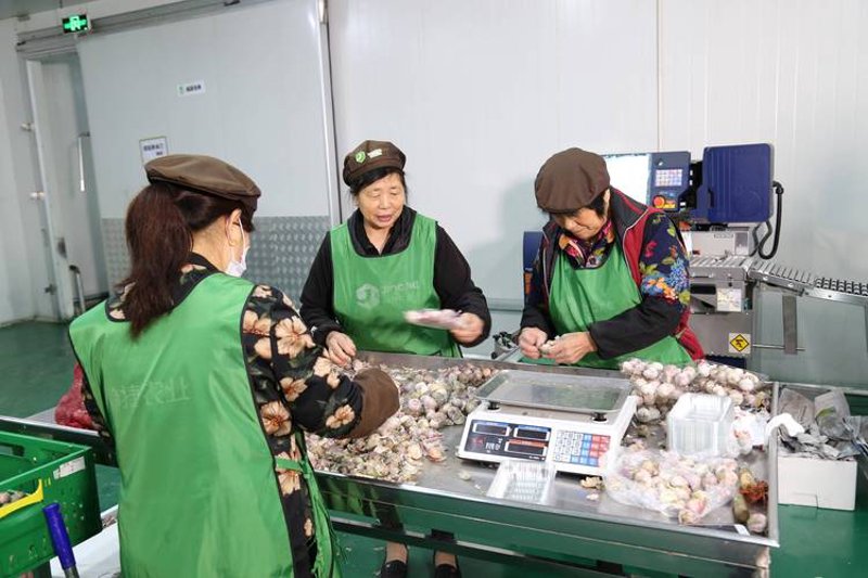 生鲜电商兴起：物流配送行业的变革